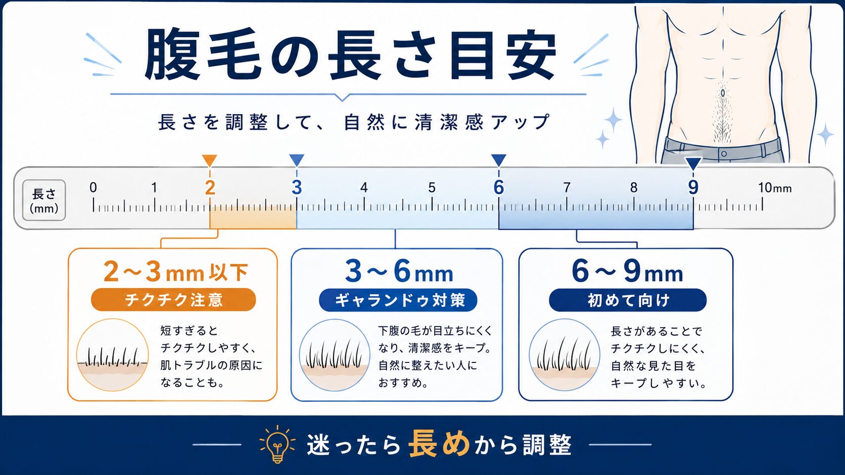 腹毛をボディトリマーで整える長さの目安を示した図解