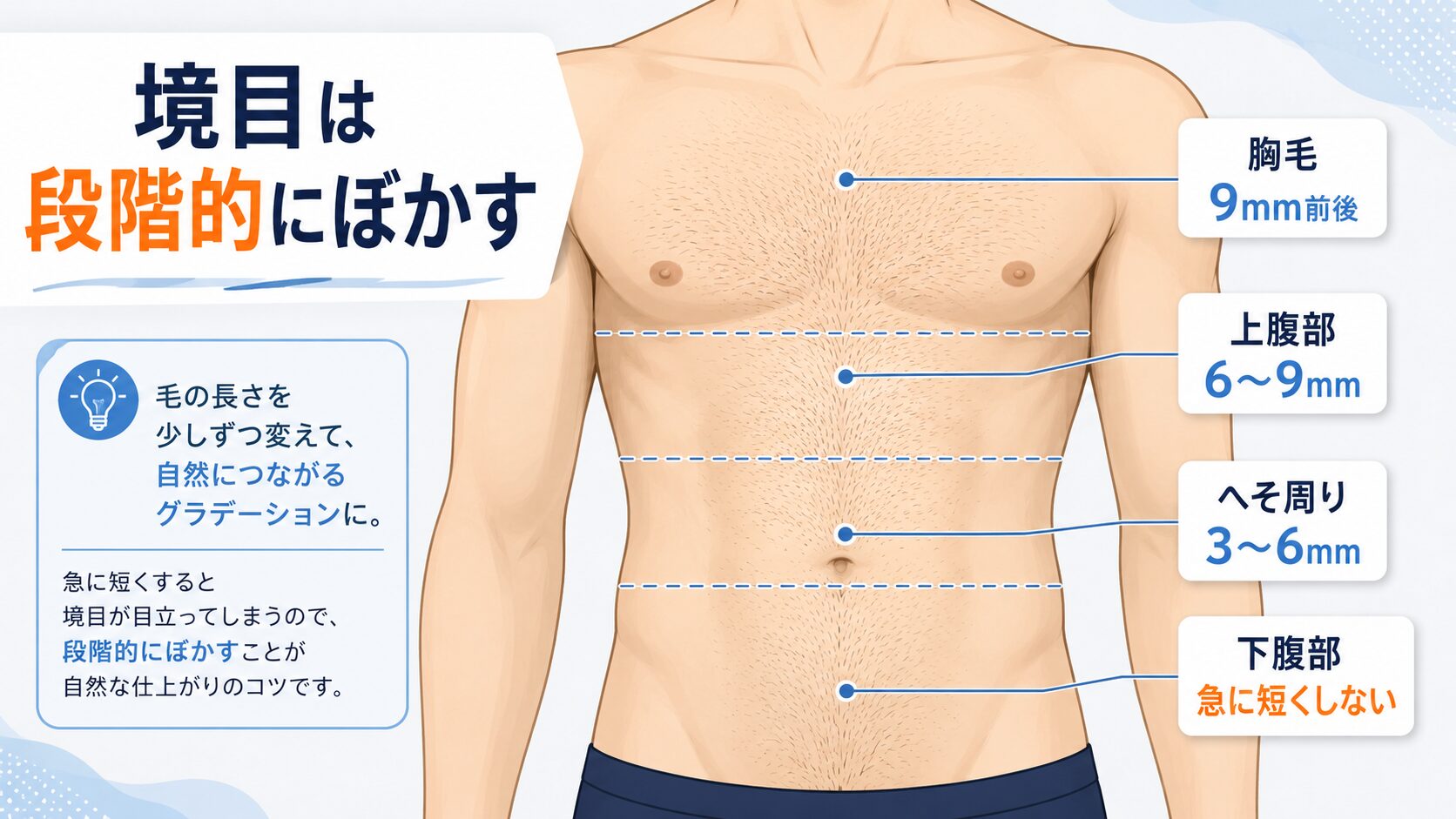胸毛・腹毛・下腹部の境目を自然にぼかす長さ調整の図解